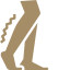 Vascular Medicine icon