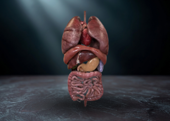 Tumors